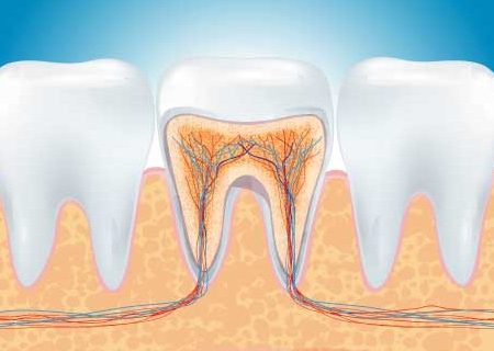 endodonzia-frosinone